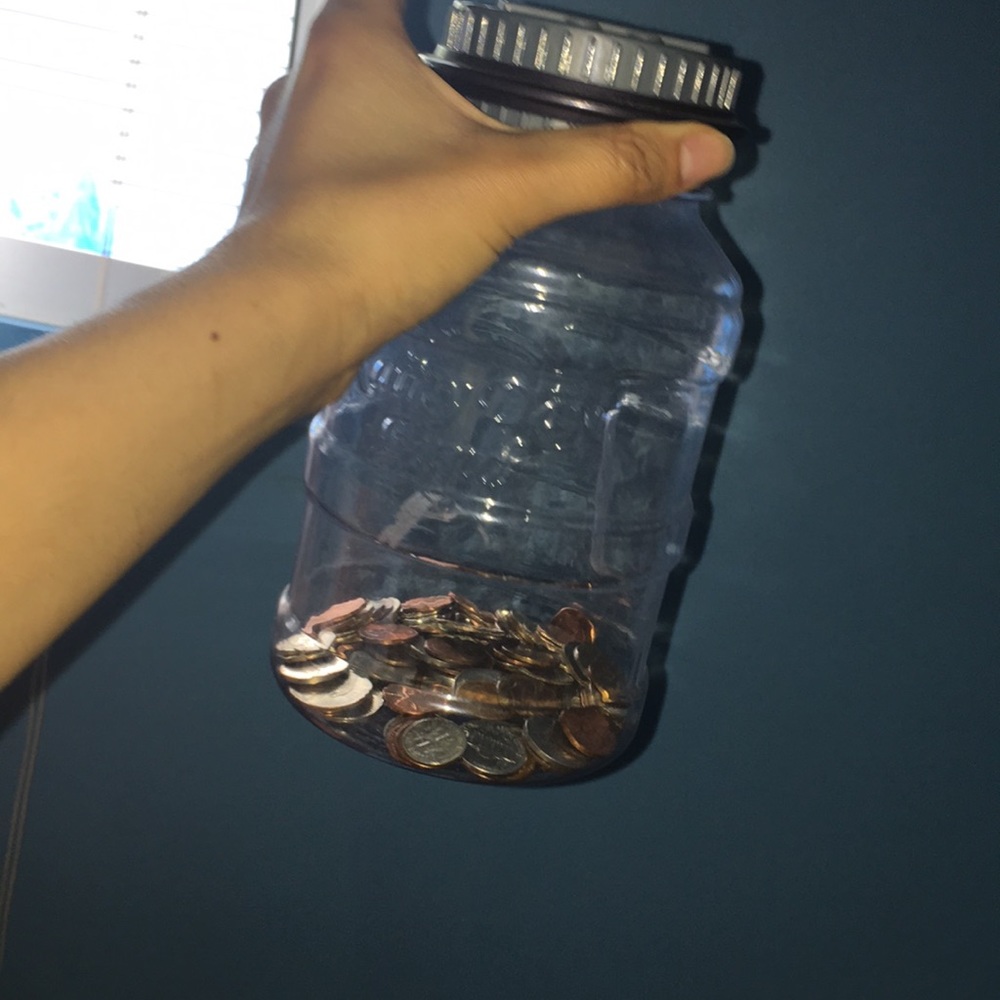 Coin counter/sorter